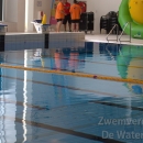 www.waterratten.nl