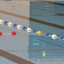www.waterratten.nl